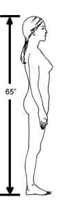 BodySmall.jpg (23968 bytes)